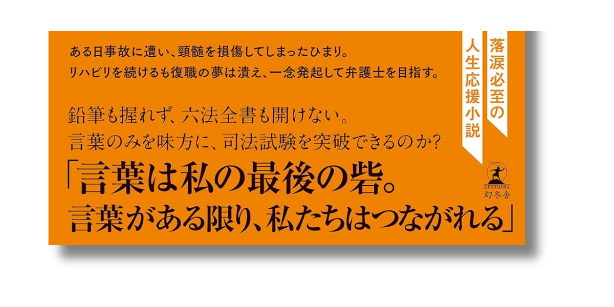 「新川 帆立 ひまわり 帯の画像」